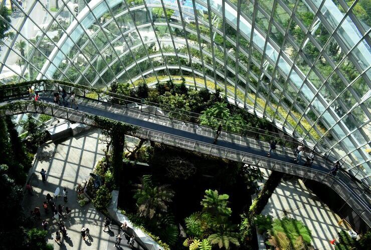 ponte di Singapore, esempio di architettura che dialoga con la natura